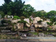 -东莞植物园