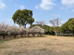 -石湖景区