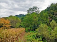 -玉华宫景区