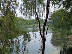 -马家湾湿地公园