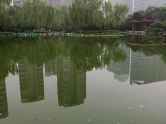 -木塔寺遗址生态公园