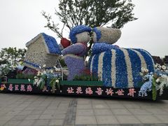 -荷兰花海