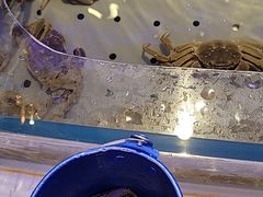 -澜悦港海鲜体验主题餐厅