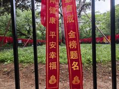 -北陵公园