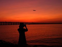 -宝安西湾红树林湿地公园