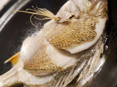 -观海海鲜(蛇口广场店)