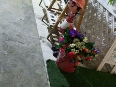 -张猫猫爱吃鱼