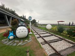 -野狸岛
