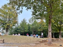 -盘龙城国家考古遗址公园