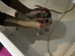 -Oh My Dog宠物沙龙(伊珊娜皮毛护理店)