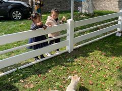 -桃园农庄·桃源宴