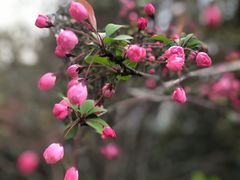 -馬蘭花開(车站大道店)