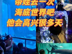 -太平洋海底世界