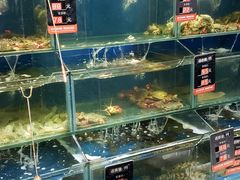 水产区-海味当家·蒸锅海鲜(中山广场创始店)