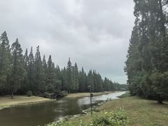 -黄海国家森林公园