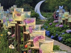 -名花谷生态庄园