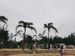 -汕尾风车岛