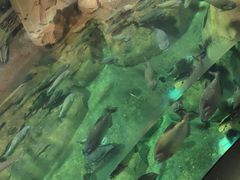 -洛阳龙门海洋馆