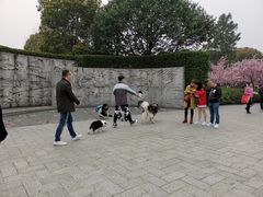 -范蠡湖公园