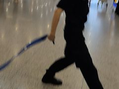 -上海浦东国际机场-T2航站楼