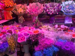 -花鸟鱼虫鲜花绿植市场(玉泉路店)