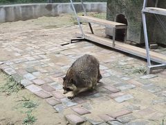 -青藏高原野生动物园