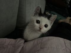 -达爱动物医院·犬猫分区·CT·复杂眼科(远洋山水分院)