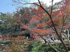 -岳麓山风景名胜区
