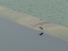 -黄河小浪底水利枢纽风景区