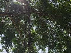 -七叔家宴家常广西菜(明秀东路店)