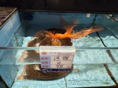 -乡里八闽·福州乡土菜(高宅店)