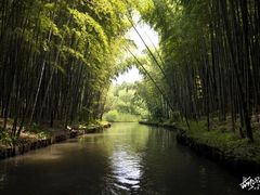 -同里国家湿地公园