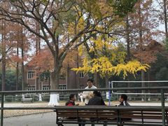 -苏州大学(天赐庄校区)
