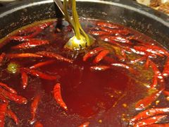 -蜀大侠火锅(总府路店)