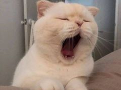 -半岛私房菜(梅林店)