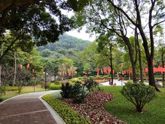 -云溪植物园