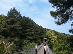 -金水泊山庄·花椒鸡(铁山坪店)