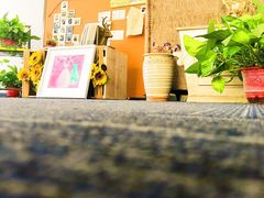 -辽宁省实验中学