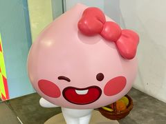 -KAKAO FRIENDS(弘大店)