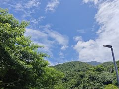 -梧桐山风景名胜区