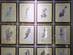 -房山世界地质公园博物馆