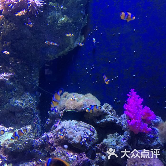 海濱城浩海立方海洋館