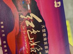 -三亚红色娘子军演艺公园景区