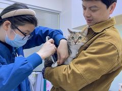 -瑞派宠物医院(锦江店)