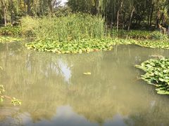 -洛阳市隋唐城遗址植物园