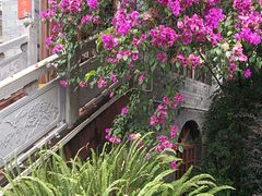 -楠柏弯休闲山庄(梨花溪店)