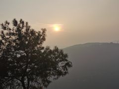 -铁山坪森林公园