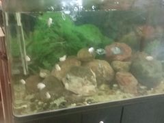 -李先生牛肉面大王(华联商厦店)