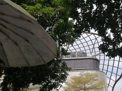 -正佳极地海洋世界