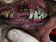 -乐琪宠物(青塔西路店)